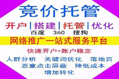 搜索引擎竞价推广：某行业领先企业的成功之路